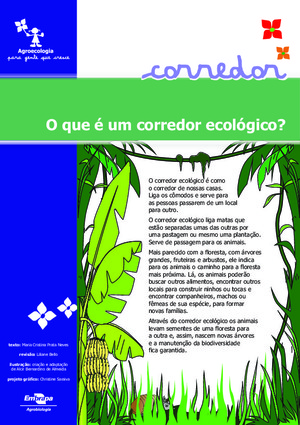 O que é?